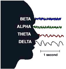Brain Waves Image